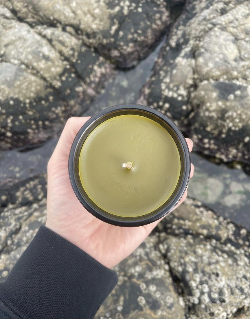 Seaweed Beeswax Candle 8oz